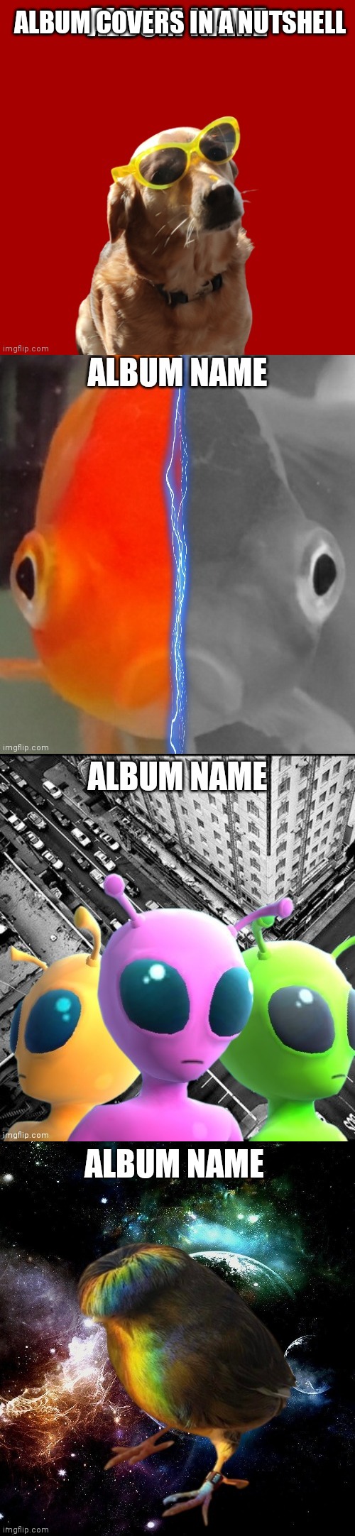 This is the random stuff I make at 11 pm | ALBUM COVERS IN A NUTSHELL | made w/ Imgflip meme maker