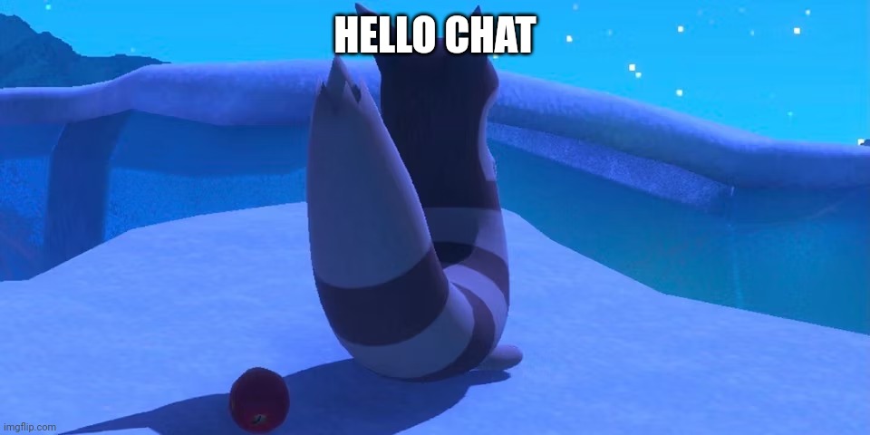 Furret | HELLO CHAT | image tagged in furret | made w/ Imgflip meme maker