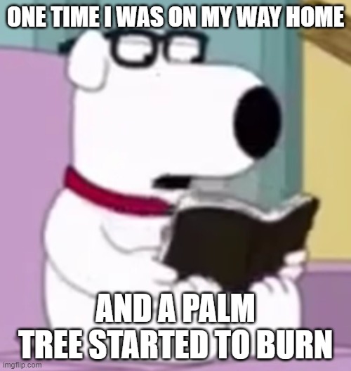 Nerd Brian | ONE TIME I WAS ON MY WAY HOME; AND A PALM TREE STARTED TO BURN | image tagged in nerd brian | made w/ Imgflip meme maker