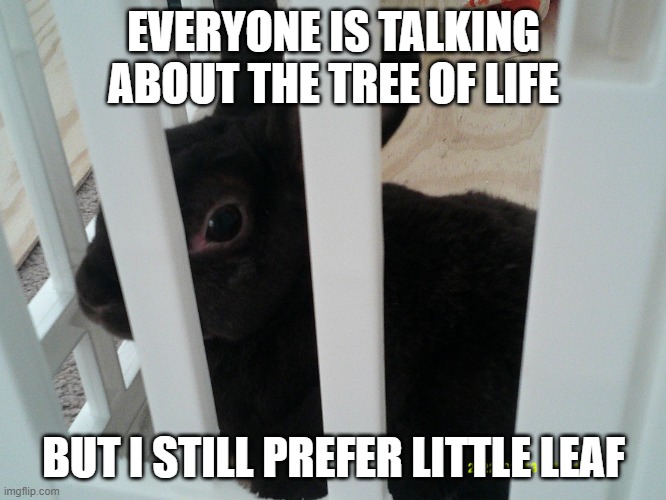 Little Leaf is an animal hospital better than the Tree Of Life, and I take my sick pets there. | EVERYONE IS TALKING ABOUT THE TREE OF LIFE; BUT I STILL PREFER LITTLE LEAF | image tagged in coconut,the lion guard,justice for ushari,kion is guilty,lion guard | made w/ Imgflip meme maker