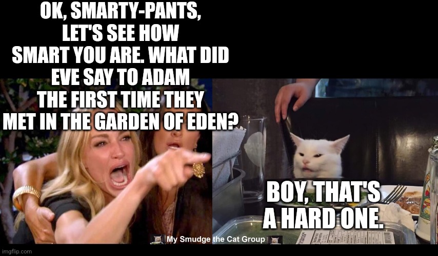 OK, SMARTY-PANTS, LET'S SEE HOW SMART YOU ARE. WHAT DID EVE SAY TO ADAM THE FIRST TIME THEY MET IN THE GARDEN OF EDEN? BOY, THAT'S A HARD ONE. | image tagged in smudge the cat,woman yelling at cat | made w/ Imgflip meme maker