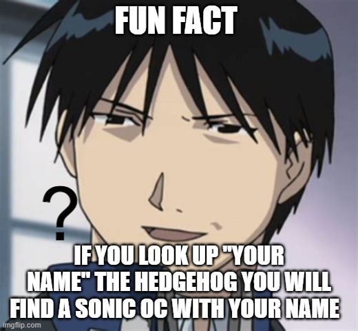 Roy mustang ? | FUN FACT; IF YOU LOOK UP "YOUR NAME" THE HEDGEHOG YOU WILL FIND A SONIC OC WITH YOUR NAME | image tagged in roy mustang | made w/ Imgflip meme maker