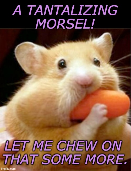 Hamster eats carrot mouthful | A TANTALIZING
MORSEL! LET ME CHEW ON 
THAT SOME MORE. | image tagged in hamster eats carrot mouthful | made w/ Imgflip meme maker
