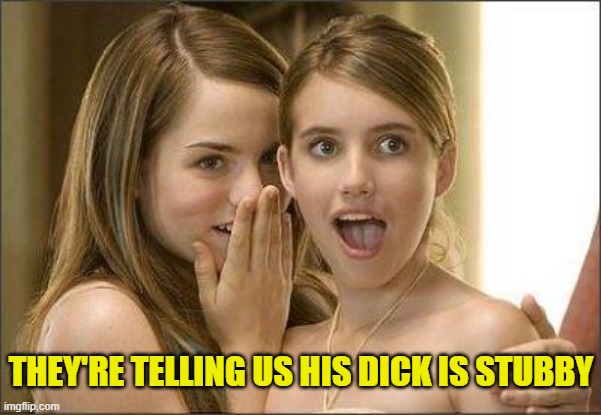 Girls gossiping | THEY'RE TELLING US HIS DICK IS STUBBY | image tagged in girls gossiping | made w/ Imgflip meme maker