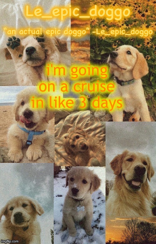 Doggo temp by doggo. Wait what that’s confusing | i'm going on a cruise in like 3 days | image tagged in doggo temp by doggo wait what that s confusing | made w/ Imgflip meme maker