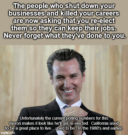 Newsom is just one of several mostly Democrat governors and mayors who tyrannically killed businesses and killed jobs. | The people who shut down your businesses and killed your careers are now asking that you re-elect them so they can keep their jobs.  Never forget what they've done to you. Unfortunately the current polling numbers for this moron makes it look like he'll get re-elected.  California used to be a great place to live... used to be.  In the 1980's and earlier. | image tagged in scheming gavin newsom,democrat dictators,dems hate good economies | made w/ Imgflip meme maker