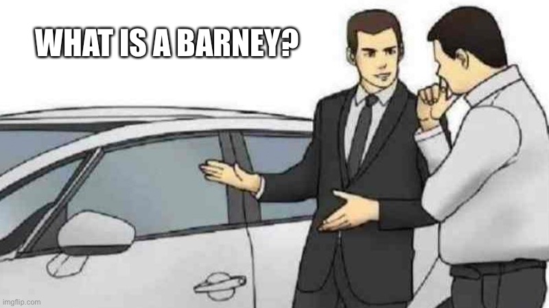 (tbd: why did you flag YOUR own image? that's just sus) | WHAT IS A BARNEY? | image tagged in memes,car salesman slaps roof of car | made w/ Imgflip meme maker