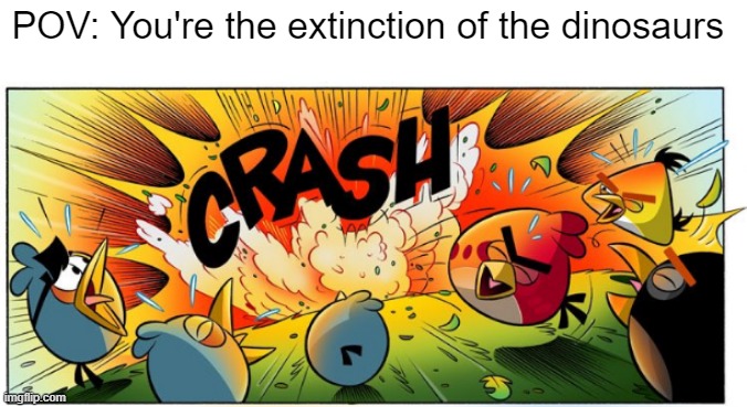 R.I.P. | POV: You're the extinction of the dinosaurs | image tagged in angry birds,memes,funny | made w/ Imgflip meme maker