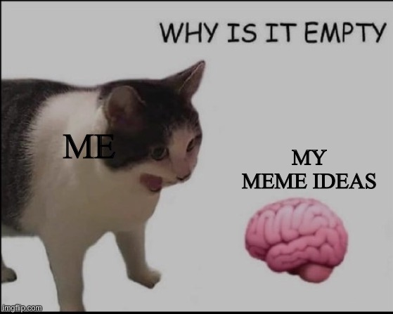 why is it empty? | MY MEME IDEAS; ME | image tagged in why is it empty | made w/ Imgflip meme maker