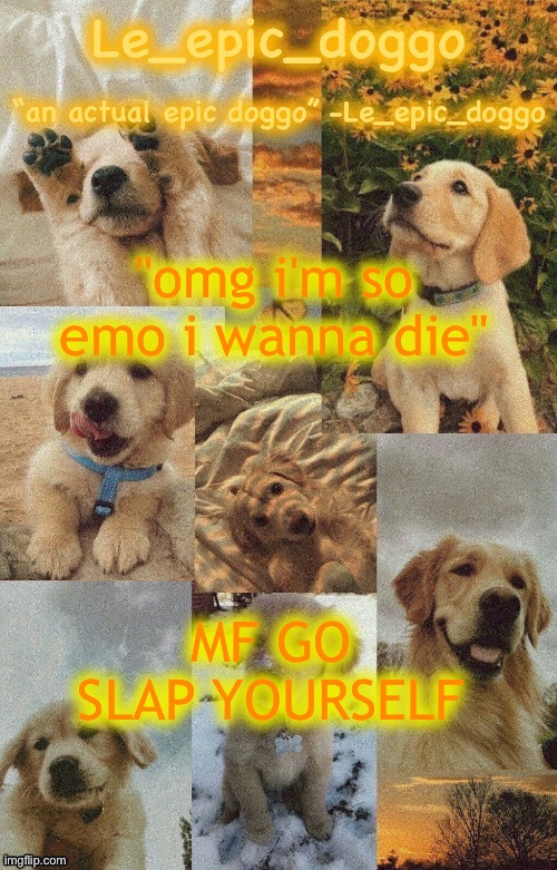 Doggo temp by doggo. Wait what that’s confusing | "omg i'm so emo i wanna die"; MF GO SLAP YOURSELF | image tagged in doggo temp by doggo wait what that s confusing | made w/ Imgflip meme maker