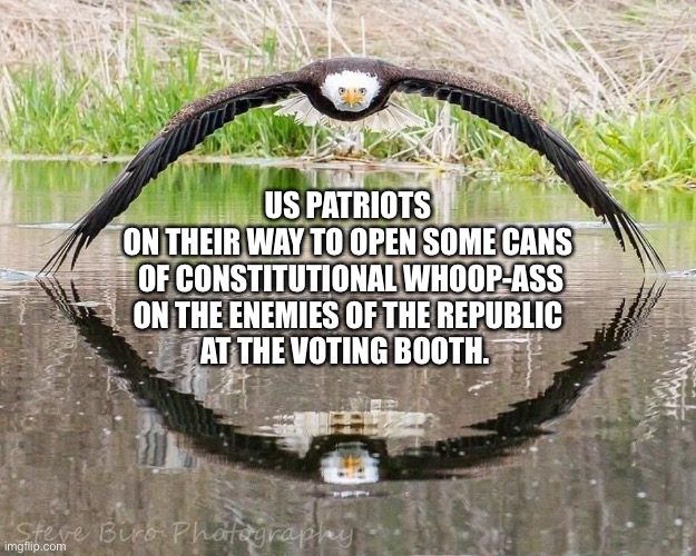 US Patriot Voters | US PATRIOTS
ON THEIR WAY TO OPEN SOME CANS
 OF CONSTITUTIONAL WHOOP-ASS
ON THE ENEMIES OF THE REPUBLIC
AT THE VOTING BOOTH. | image tagged in bald eagle,open a can,the constitution | made w/ Imgflip meme maker