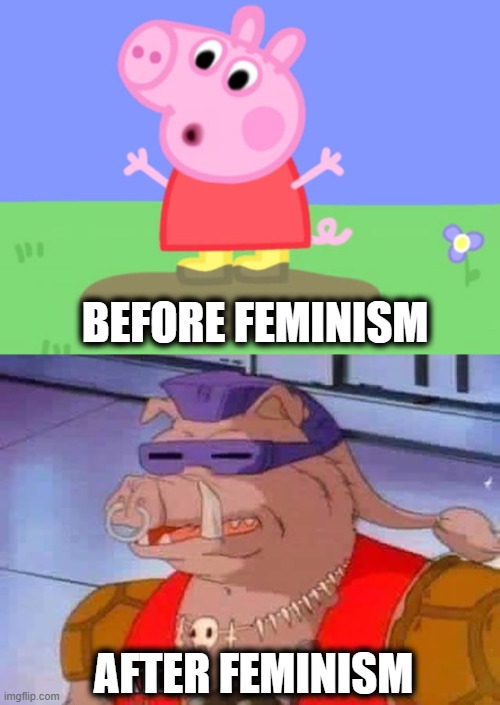 BEFORE FEMINISM; AFTER FEMINISM | image tagged in apa la pepa pig,political meme | made w/ Imgflip meme maker