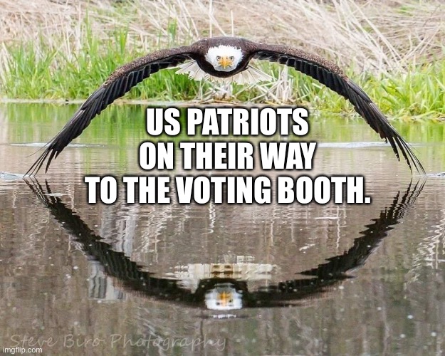 US Patriots Voters 2 | US PATRIOTS
ON THEIR WAY
TO THE VOTING BOOTH. | image tagged in bald eagle,voting,election 2022,save the republic,us constitution | made w/ Imgflip meme maker