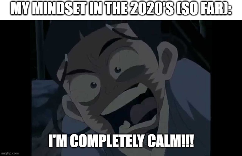 My 2020's mindset | MY MINDSET IN THE 2020'S (SO FAR):; I'M COMPLETELY CALM!!! | image tagged in i'm completely calm,avatar the last airbender | made w/ Imgflip meme maker