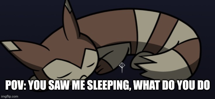 Sleepy furret | POV: YOU SAW ME SLEEPING, WHAT DO YOU DO | image tagged in sleepy furret | made w/ Imgflip meme maker