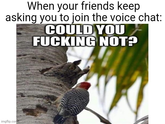 To relatable. | When your friends keep asking you to join the voice chat: | image tagged in meme | made w/ Imgflip meme maker