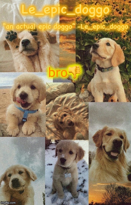 Doggo temp by doggo. Wait what that’s confusing | bro👎 | image tagged in doggo temp by doggo wait what that s confusing | made w/ Imgflip meme maker