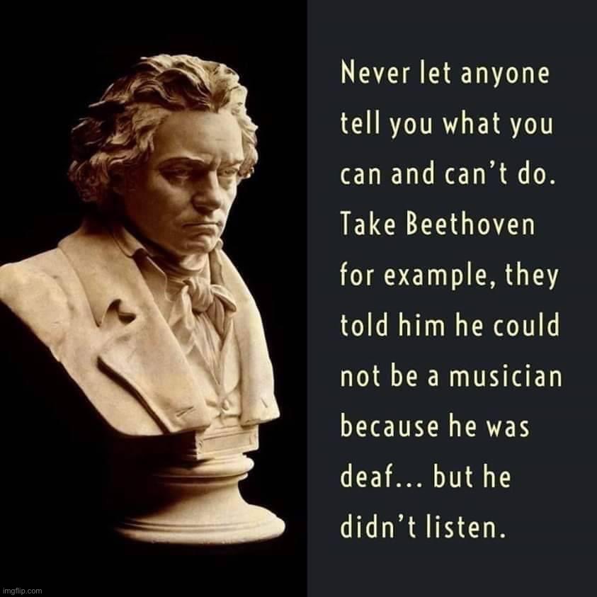Beethoven didn’t listen | image tagged in beethoven didn t listen | made w/ Imgflip meme maker
