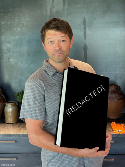 Misha Redacted | [REDACTED] | image tagged in misha redacted | made w/ Imgflip meme maker