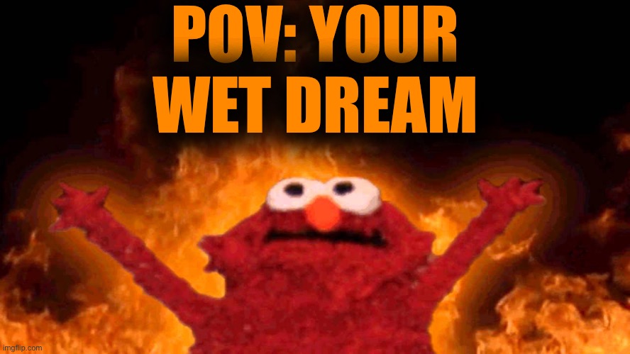 elmo fire | POV: YOUR WET DREAM | image tagged in elmo fire | made w/ Imgflip meme maker
