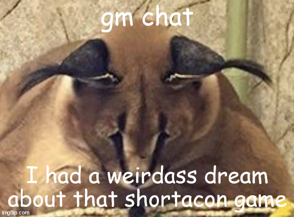 depressed floppa | gm chat; I had a weirdass dream about that shortacon game | image tagged in depressed floppa | made w/ Imgflip meme maker