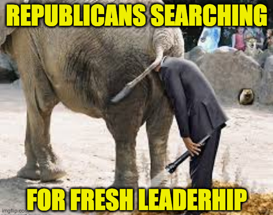 REPUBLICANS SEARCHING FOR FRESH LEADERHIP | made w/ Imgflip meme maker