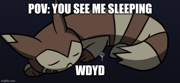Sleepy furret | POV: YOU SEE ME SLEEPING; WDYD | image tagged in sleepy furret | made w/ Imgflip meme maker