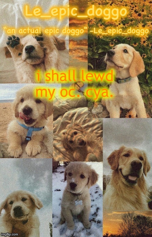 Doggo temp by doggo. Wait what that’s confusing | i shall lewd my oc. cya. | image tagged in doggo temp by doggo wait what that s confusing | made w/ Imgflip meme maker