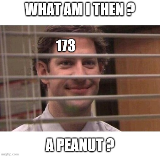 Jim Office Blinds | WHAT AM I THEN ? A PEANUT ? 173 | image tagged in jim office blinds | made w/ Imgflip meme maker