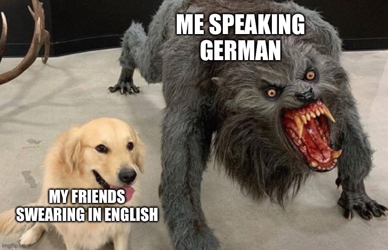 ME SPEAKING GERMAN; MY FRIENDS SWEARING IN ENGLISH | made w/ Imgflip meme maker