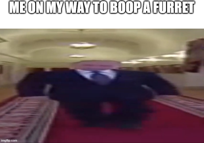 there isn't any good "one my way" temps | ME ON MY WAY TO BOOP A FURRET | image tagged in wide putin,furret,meme,boop | made w/ Imgflip meme maker