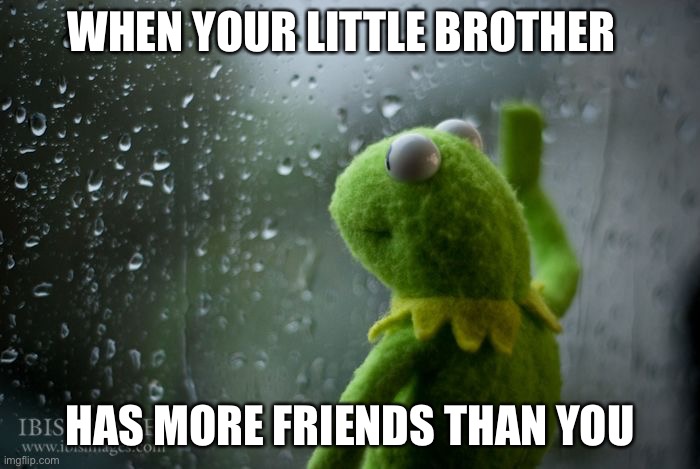 kermit window | WHEN YOUR LITTLE BROTHER; HAS MORE FRIENDS THAN YOU | image tagged in kermit window | made w/ Imgflip meme maker