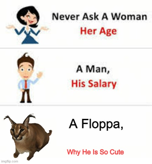 Never ask a... | A Floppa, Why He Is So Cute | image tagged in never ask a woman her age | made w/ Imgflip meme maker