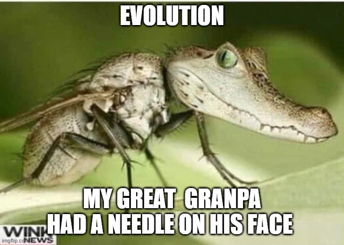 evolution | EVOLUTION; MY GREAT  GRANPA HAD A NEEDLE ON HIS FACE | image tagged in funny memes | made w/ Imgflip meme maker