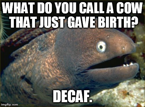 Bad Joke Eel Meme | WHAT DO YOU CALL A COW THAT JUST GAVE BIRTH? DECAF. | image tagged in memes,bad joke eel | made w/ Imgflip meme maker