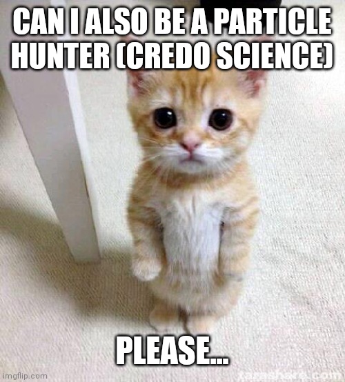 Citizen science | CAN I ALSO BE A PARTICLE HUNTER (CREDO SCIENCE); PLEASE... | image tagged in memes,cute cat,credo science,credo detector,citizen science particle hunters,particle hunters | made w/ Imgflip meme maker