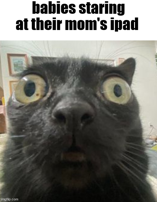 :jinxstare: | babies staring at their mom's ipad | made w/ Imgflip meme maker