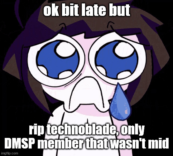 and quackity, quackity is also cool. | ok bit late but; rip technoblade, only DMSP member that wasn't mid | image tagged in crying human | made w/ Imgflip meme maker