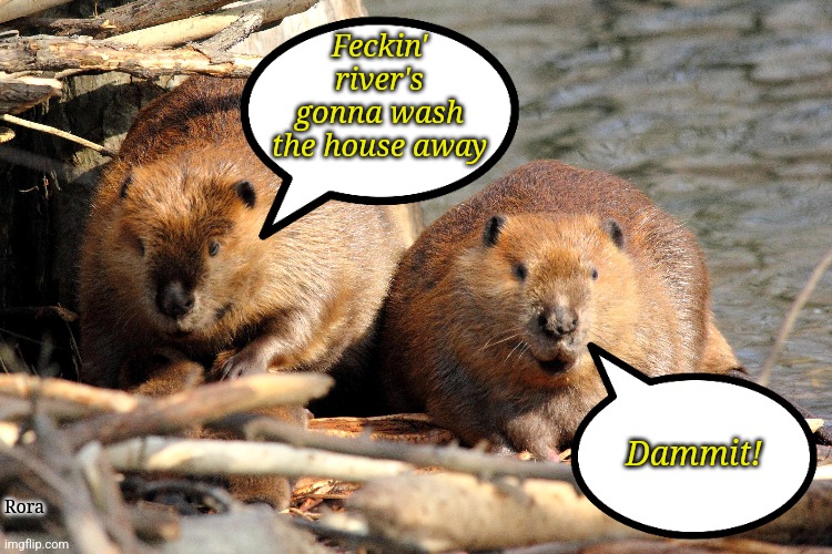 Eager beaver | Feckin' river's gonna wash the house away; Dammit! Rora | image tagged in humor | made w/ Imgflip meme maker