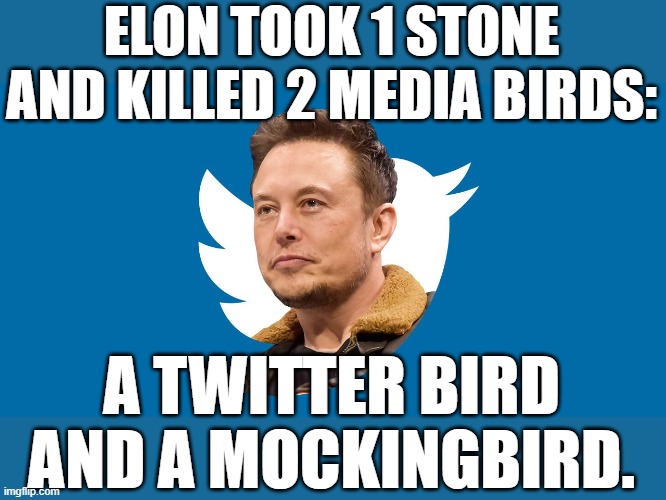 The liberal media is losing their voice, and rightfully so. | ELON TOOK 1 STONE AND KILLED 2 MEDIA BIRDS:; A TWITTER BIRD AND A MOCKINGBIRD. | image tagged in elon musk,elon musk laughing,liberal media,to kill a mockingbird,twitter birds says | made w/ Imgflip meme maker