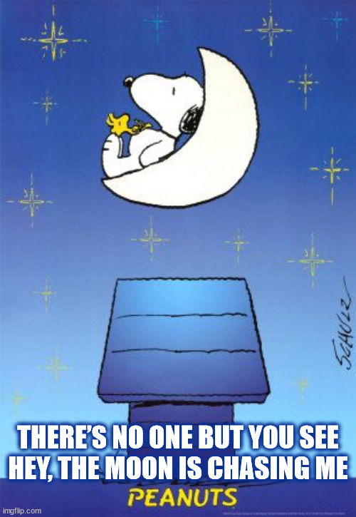 DMB~ You Never Know | THERE’S NO ONE BUT YOU SEE
HEY, THE MOON IS CHASING ME | image tagged in dmb,dave matthews band,snoopy,moon,bird,night | made w/ Imgflip meme maker