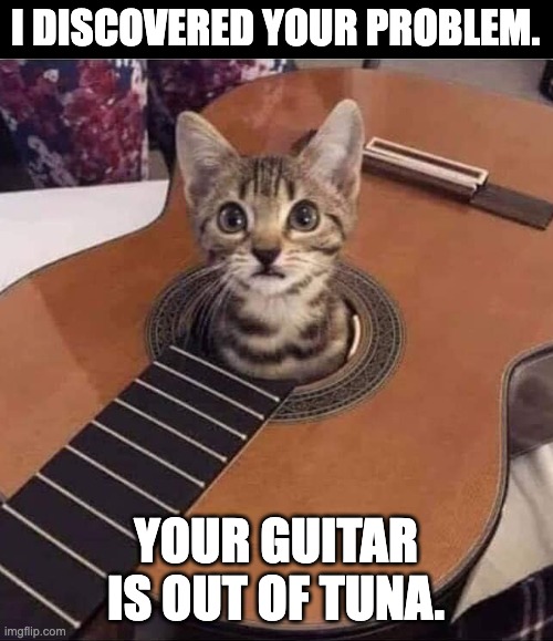 Guitar | I DISCOVERED YOUR PROBLEM. YOUR GUITAR IS OUT OF TUNA. | image tagged in bad pun | made w/ Imgflip meme maker