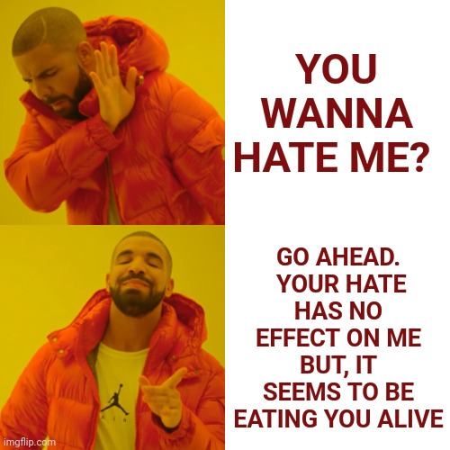 Haters Gonna Hate, Hate, Hate, Hate, Hate |  YOU WANNA HATE ME? GO AHEAD.  YOUR HATE HAS NO EFFECT ON ME BUT, IT SEEMS TO BE EATING YOU ALIVE | image tagged in memes,drake hotline bling,hate,haters,haters gonna hate,sounds like a personal problem | made w/ Imgflip meme maker