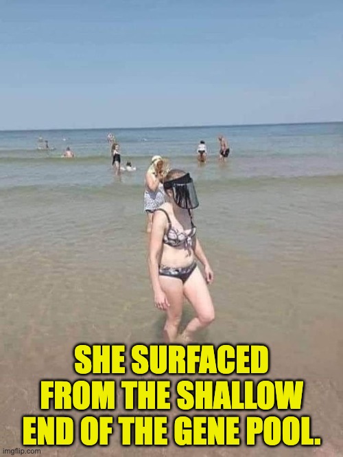 Gene Pool | SHE SURFACED FROM THE SHALLOW END OF THE GENE POOL. | image tagged in wtf | made w/ Imgflip meme maker