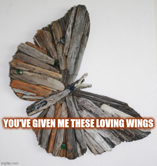 DMB~ Loving Wings |  YOU'VE GIVEN ME THESE LOVING WINGS | image tagged in dmb,dave matthews band,butterfly,flight,wings,love | made w/ Imgflip meme maker