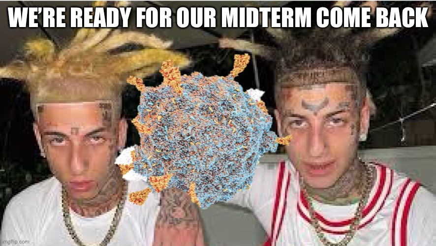 Geeeez really | WE’RE READY FOR OUR MIDTERM COME BACK | image tagged in omicron island boys | made w/ Imgflip meme maker