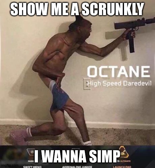 Octane high speed daredevil | SHOW ME A SCRUNKLY; I WANNA SIMP | image tagged in octane high speed daredevil | made w/ Imgflip meme maker