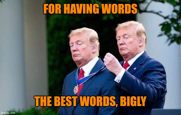 Sedition | FOR HAVING WORDS; THE BEST WORDS, BIGLY | image tagged in trump awarding trump | made w/ Imgflip meme maker