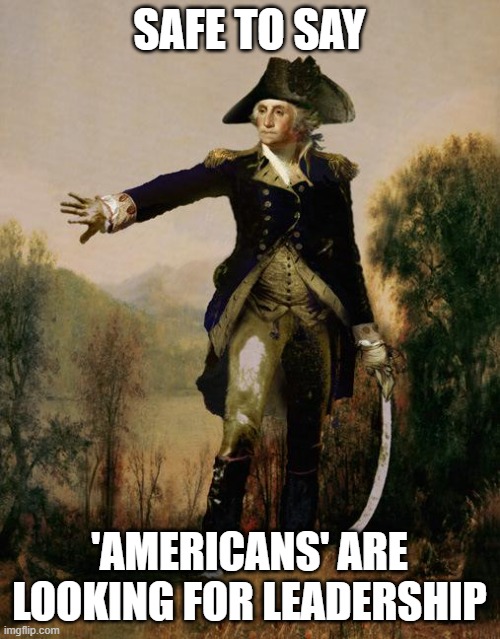 George Washington 6 | SAFE TO SAY 'AMERICANS' ARE LOOKING FOR LEADERSHIP | image tagged in george washington 6 | made w/ Imgflip meme maker