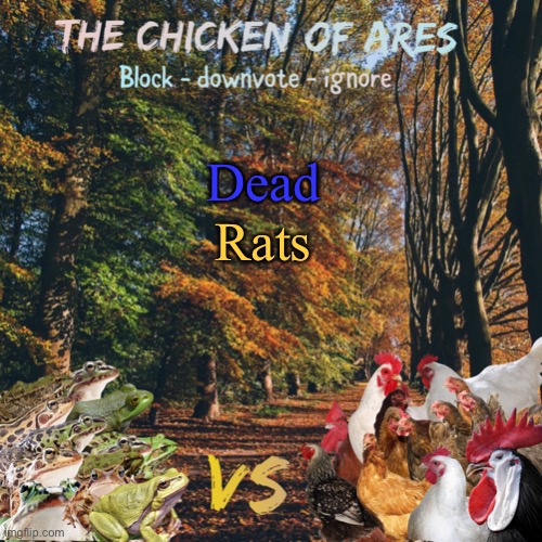 Chicken of Ares announces crap for everyone | Dead; Rats | image tagged in chicken of ares announces crap for everyone | made w/ Imgflip meme maker